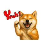 柴犬さんいらっしゃい（個別スタンプ：13）