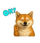 柴犬さんいらっしゃい（個別スタンプ：16）