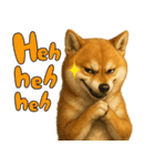 柴犬さんいらっしゃい（個別スタンプ：30）
