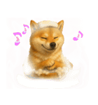 柴犬さんいらっしゃい（個別スタンプ：31）
