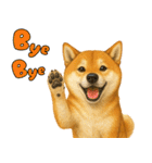 柴犬さんいらっしゃい（個別スタンプ：33）