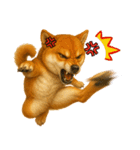 柴犬さんいらっしゃい（個別スタンプ：38）