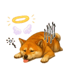 柴犬さんいらっしゃい（個別スタンプ：40）