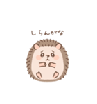 とげぽんが…きゃー言っちゃったー！（個別スタンプ：8）
