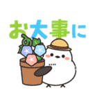 飛びだす♪ほわほわシマエナガさんの夏（個別スタンプ：18）