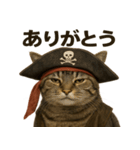 シュールな海賊の猫のスタンプ 002（個別スタンプ：1）