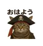 シュールな海賊の猫のスタンプ 002（個別スタンプ：2）