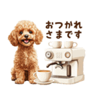 トイプードルのやさしい敬語ことば（個別スタンプ：3）