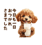 トイプードルのやさしい敬語ことば（個別スタンプ：4）