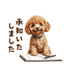 トイプードルのやさしい敬語ことば（個別スタンプ：10）
