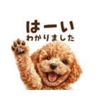トイプードルのやさしい敬語ことば（個別スタンプ：12）