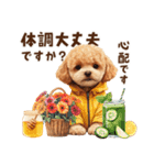 トイプードルのやさしい敬語ことば（個別スタンプ：20）