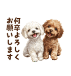 トイプードルのやさしい敬語ことば（個別スタンプ：22）