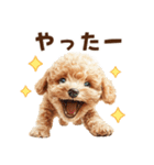 トイプードルのやさしい敬語ことば（個別スタンプ：30）