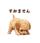 トイプードルのやさしい敬語ことば（個別スタンプ：35）