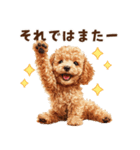 トイプードルのやさしい敬語ことば（個別スタンプ：40）