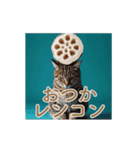 ねぎらい猫 動くよ！【キジ】（個別スタンプ：18）
