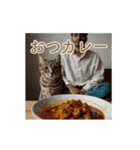 ねぎらい猫 動くよ！【キジ】（個別スタンプ：20）