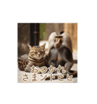 ねぎらい猫 動くよ！【キジ】（個別スタンプ：22）