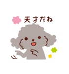 トイプードル色々_ハッピーな毎日（個別スタンプ：6）