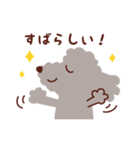 トイプードル色々_ハッピーな毎日（個別スタンプ：7）