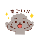 トイプードル色々_ハッピーな毎日（個別スタンプ：11）