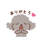 トイプードル色々_ハッピーな毎日（個別スタンプ：12）