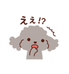 トイプードル色々_ハッピーな毎日（個別スタンプ：13）