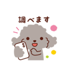 トイプードル色々_ハッピーな毎日（個別スタンプ：17）