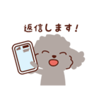トイプードル色々_ハッピーな毎日（個別スタンプ：18）
