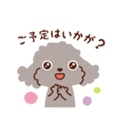 トイプードル色々_ハッピーな毎日（個別スタンプ：20）