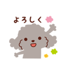トイプードル色々_ハッピーな毎日（個別スタンプ：27）