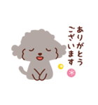 トイプードル色々_ハッピーな毎日（個別スタンプ：28）
