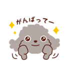 トイプードル色々_ハッピーな毎日（個別スタンプ：29）