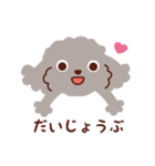 トイプードル色々_ハッピーな毎日（個別スタンプ：39）