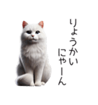 クールな白猫の日常スタンプ！3Dリアル（個別スタンプ：1）