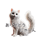 クールな白猫の日常スタンプ！3Dリアル（個別スタンプ：6）