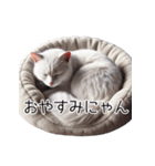 クールな白猫の日常スタンプ！3Dリアル（個別スタンプ：10）