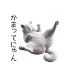 クールな白猫の日常スタンプ！3Dリアル（個別スタンプ：16）