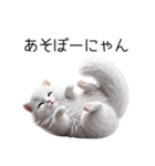 クールな白猫の日常スタンプ！3Dリアル（個別スタンプ：19）