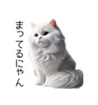 クールな白猫の日常スタンプ！3Dリアル（個別スタンプ：20）