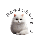 クールな白猫の日常スタンプ！3Dリアル（個別スタンプ：26）