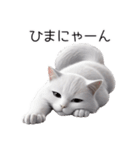 クールな白猫の日常スタンプ！3Dリアル（個別スタンプ：27）