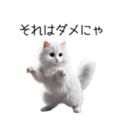 クールな白猫の日常スタンプ！3Dリアル（個別スタンプ：29）