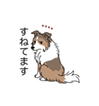 名前入りシェルティセーブル（個別スタンプ：9）