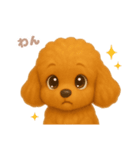 ワンだふる｜トイプードル（個別スタンプ：11）