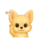 ワンだふる｜チワワ（個別スタンプ：9）