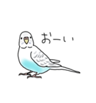 セキセイインコの可愛い1日（ハルクイン）（個別スタンプ：2）