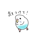 セキセイインコの可愛い1日（ハルクイン）（個別スタンプ：4）