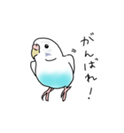 セキセイインコの可愛い1日（ハルクイン）（個別スタンプ：5）